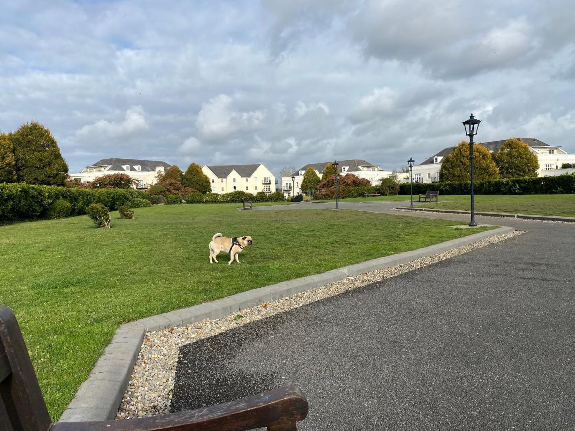Comfy Near Airport With Free Parking Accommodatie bij particulieren